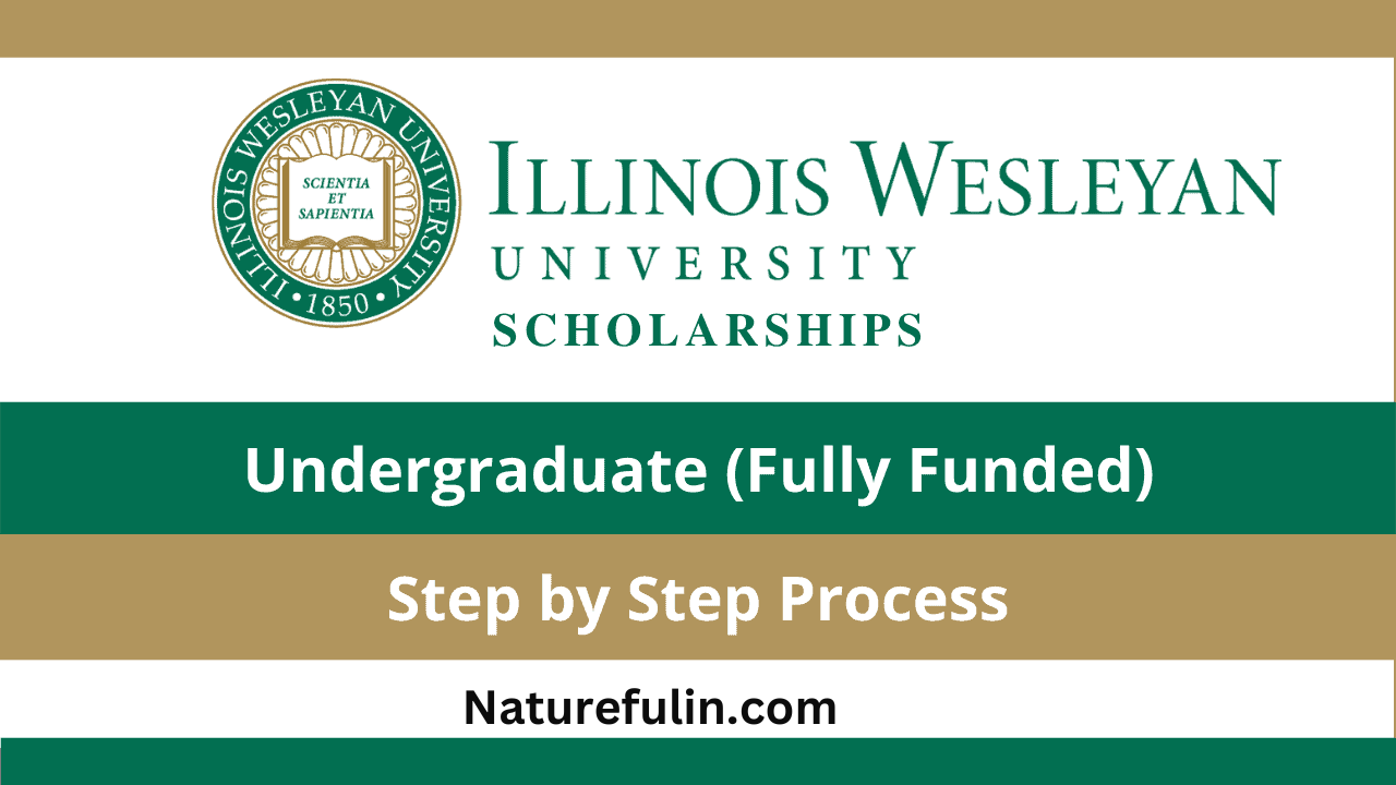 Scholarships at Illinois Wesleyan University 2025: Your Road to Greatness